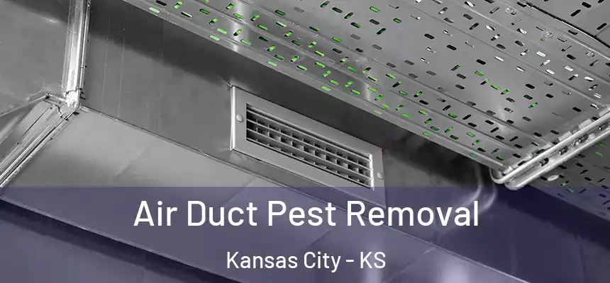 Air Duct Pest Removal Kansas City - KS