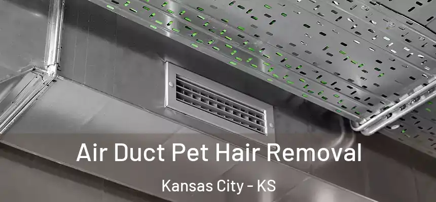 Air Duct Pet Hair Removal Kansas City - KS