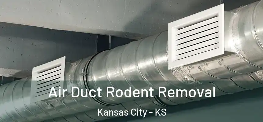 Air Duct Rodent Removal Kansas City - KS