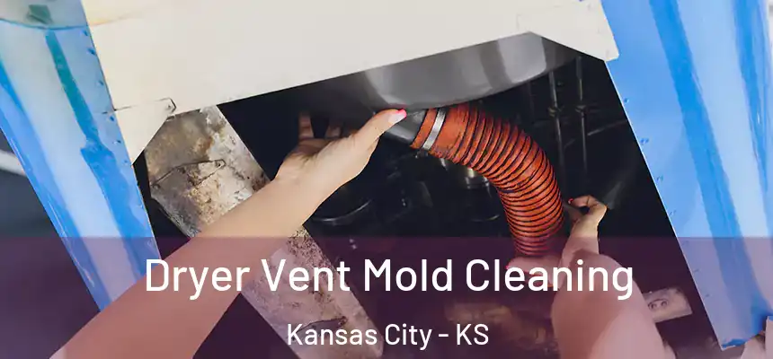 Dryer Vent Mold Cleaning Kansas City - KS