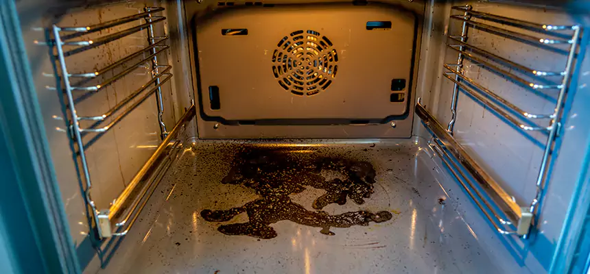 Our Dryer Vent Mold Cleaning Services in Kansas City, KS