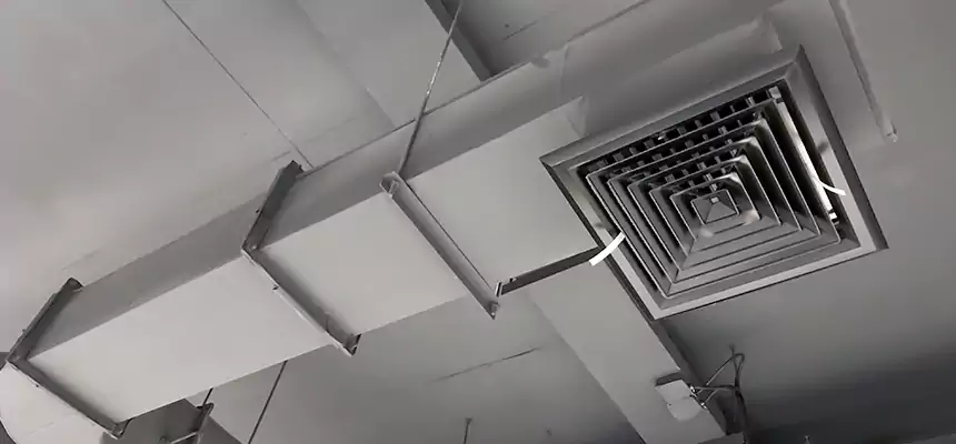 Our Pest Removal From Ducts Services in Kansas City, KS