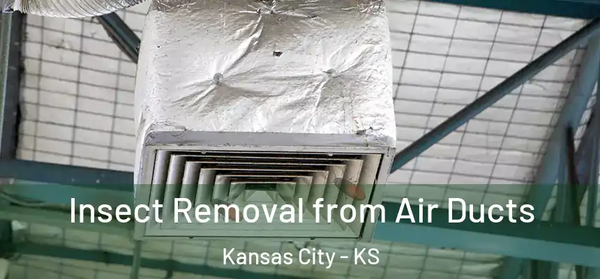  Insect Removal from Air Ducts Kansas City - KS