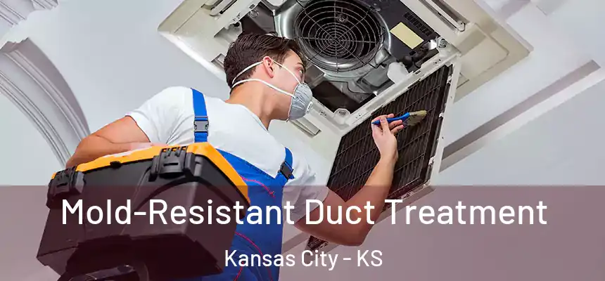 Mold-Resistant Duct Treatment Kansas City - KS