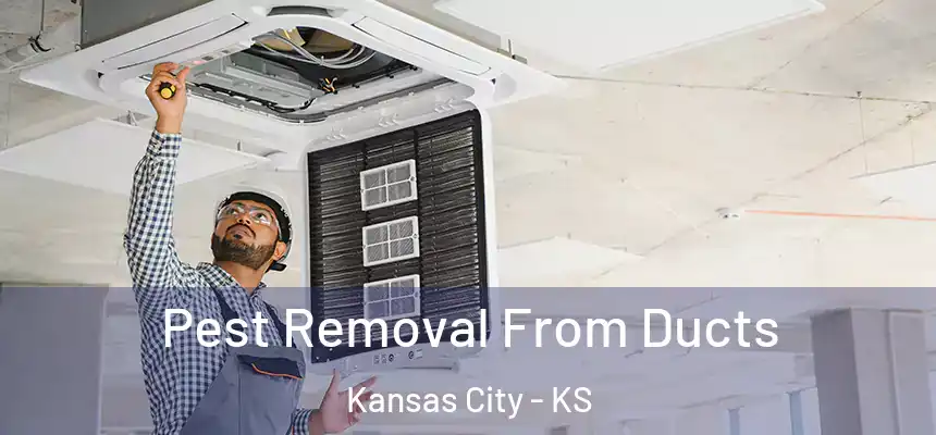 Pest Removal From Ducts Kansas City - KS