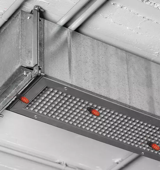 Affordable Insect Removal from Air Ducts in Kansas City, KS