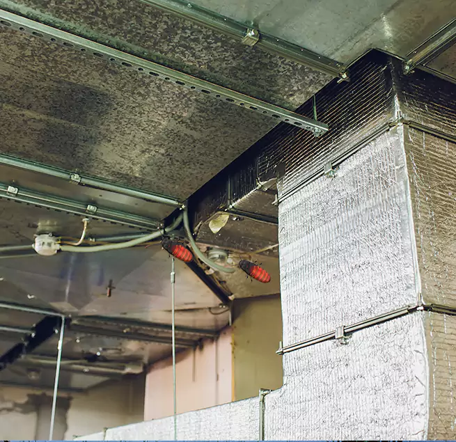 Why Homeowners & Businesses Trust Us in Kansas City, KS?