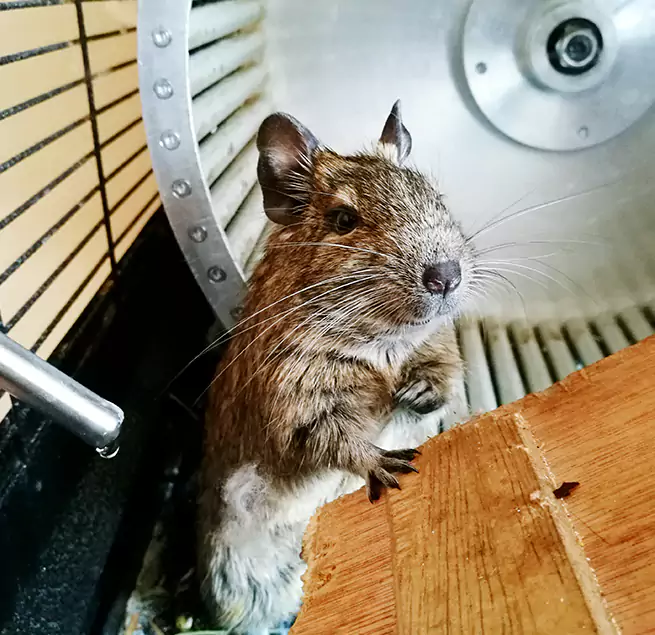 Why Homeowners & Businesses Trust Us Kansas City, KS