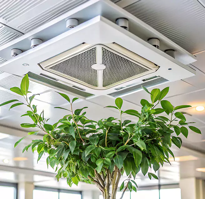 Why Homeowners & Businesses Trust Us in Kansas City, KS?